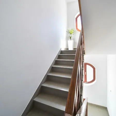 Гостьовий будинок Nekic 1